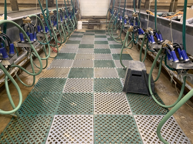 (76) Parlor floor mats
